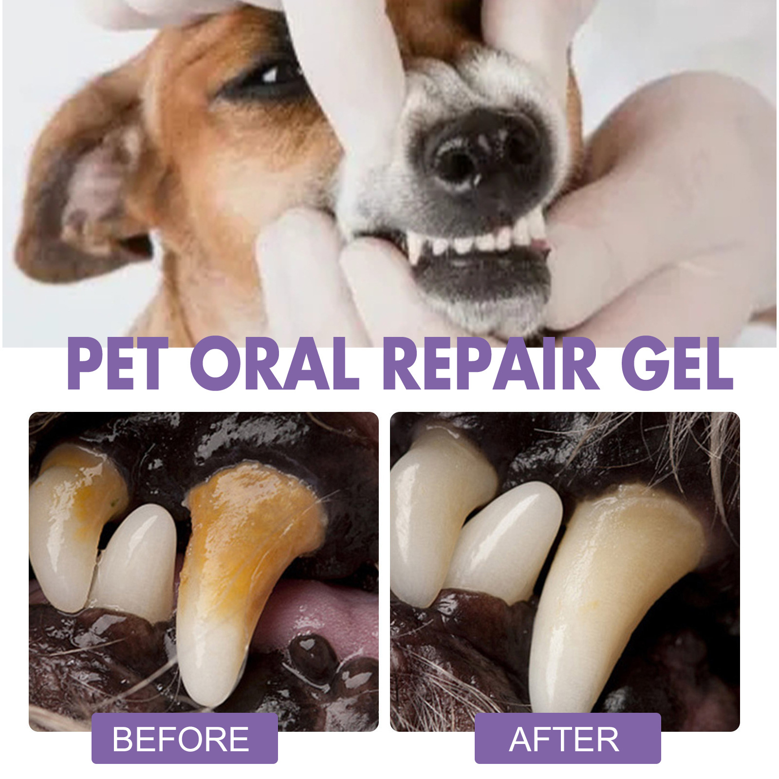 Żel do naprawy jamy ustnej dla – Teeth Whitening Q&M recenzja i cena