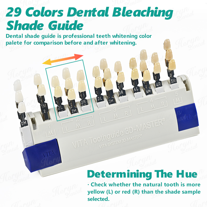 Vita 3D Master Dental Lab Blea – Teeth Whitening Shade Guide recenzja i cena
